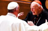 Le Vatican publie le dossier McCarrick, tout en faveur du pape François et contre Mgr Vigano